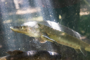 Similar image 21655700