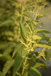 Similar image 21655742