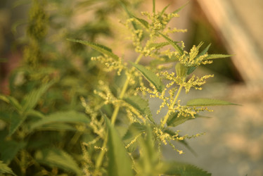 Similar image 21655743