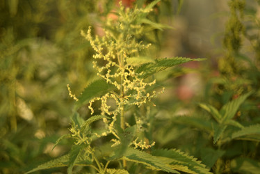 Similar image 21655744