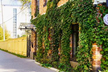 Similar image 21659943