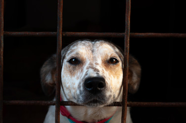 Similar image 21655940