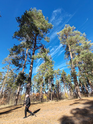 Similar image 21655944