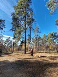 Similar image 21655945