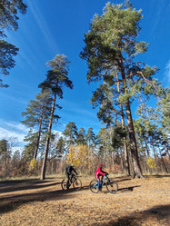 Similar image 21655946