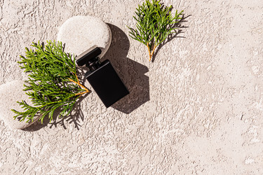 Similar image 21655772