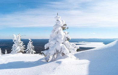 Similar image 21656028