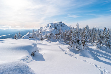 Similar image 21656030