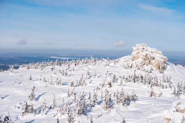 Similar image 21656035