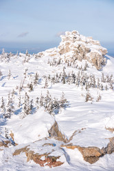 Similar image 21656036