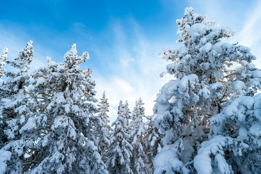 Similar image 21656039