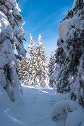 Similar image 21656040