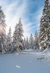 Similar image 21656041