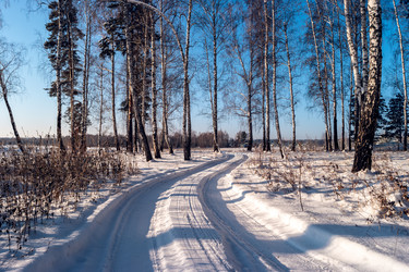 Similar image 21656042