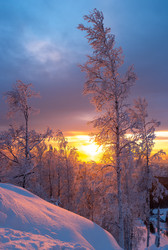 Similar image 21656045