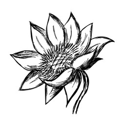 Similar image 21655957