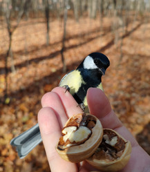 Similar image 21659945