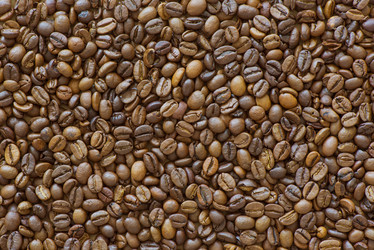 Similar image 21656246