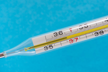 Similar image 21656252