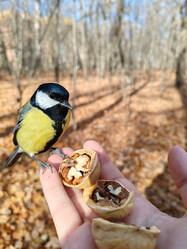 Similar image 21656290