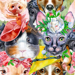 Similar image 21658698