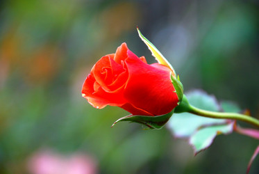 Similar image 21657147