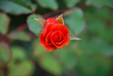 Similar image 21657149