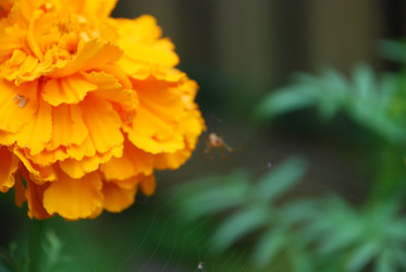 Similar image 21657150