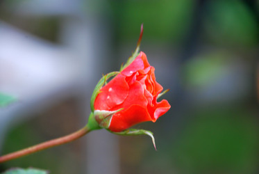 Similar image 21657151