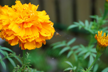 Similar image 21657152