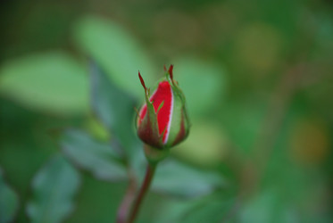 Similar image 21657153