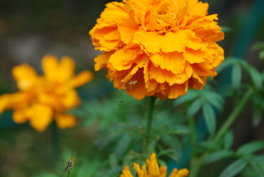 Similar image 21657154