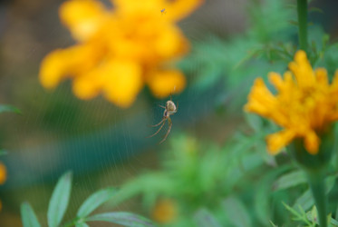 Similar image 21657156