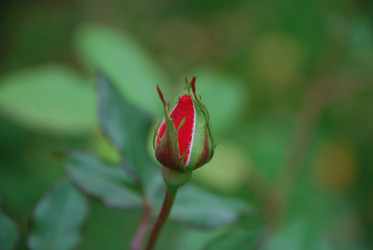 Similar image 21657157