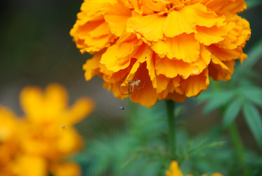 Similar image 21657158