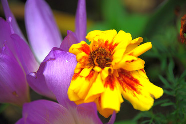 Similar image 21657159