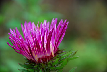 Similar image 21657160