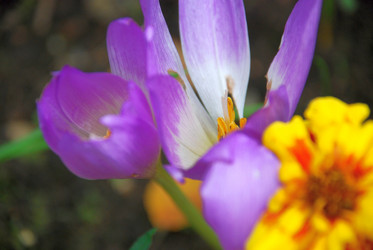 Similar image 21657161