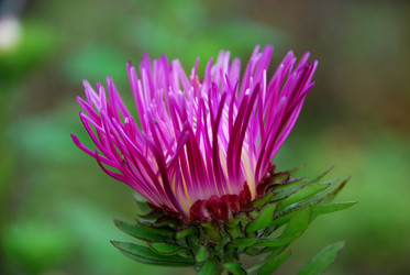 Similar image 21657162