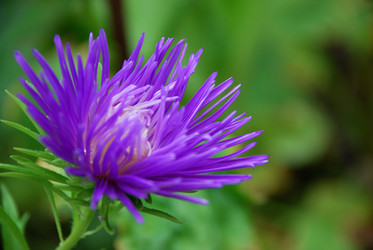 Similar image 21657163