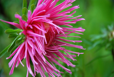 Similar image 21657164