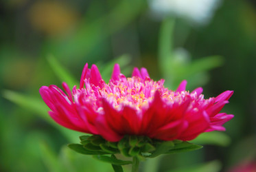 Similar image 21657165