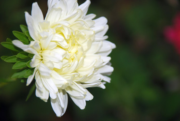 Similar image 21657166