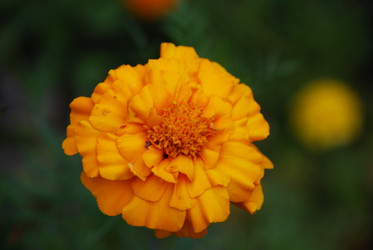 Similar image 21657167