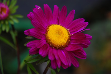 Similar image 21657168