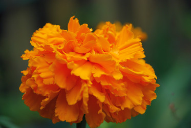 Similar image 21657171