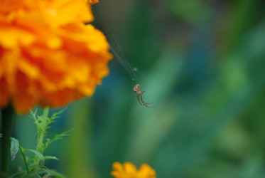 Similar image 21657172