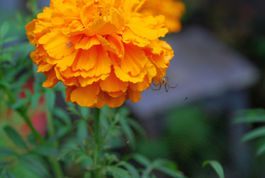 Similar image 21657173