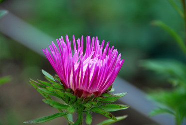 Similar image 21657175