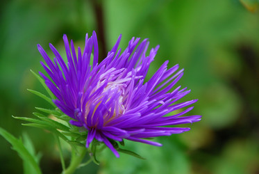 Similar image 21657176